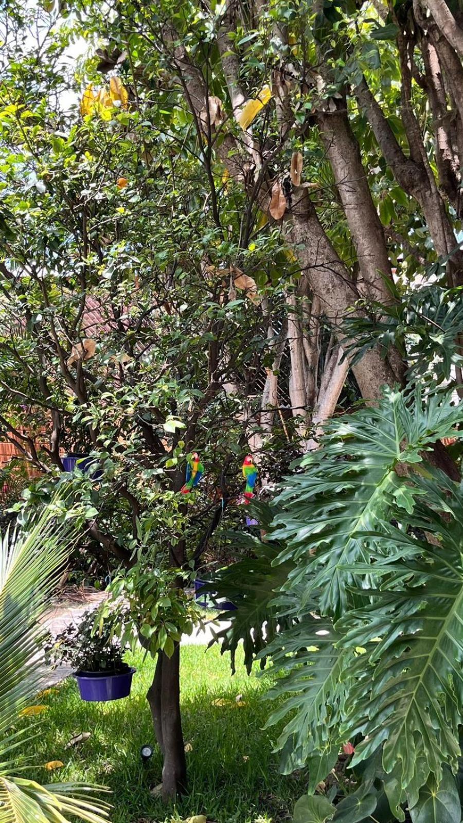 Casa Calnacazco Apartment เตโปซตลัน ภายนอก รูปภาพ